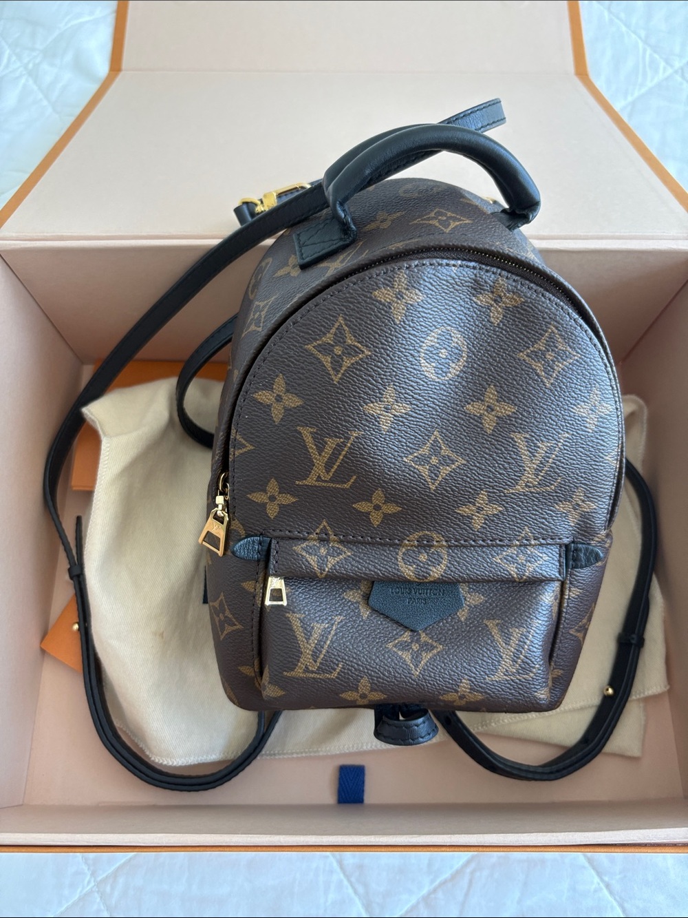 Louis Vuitton Palm Spring Mini Backpack